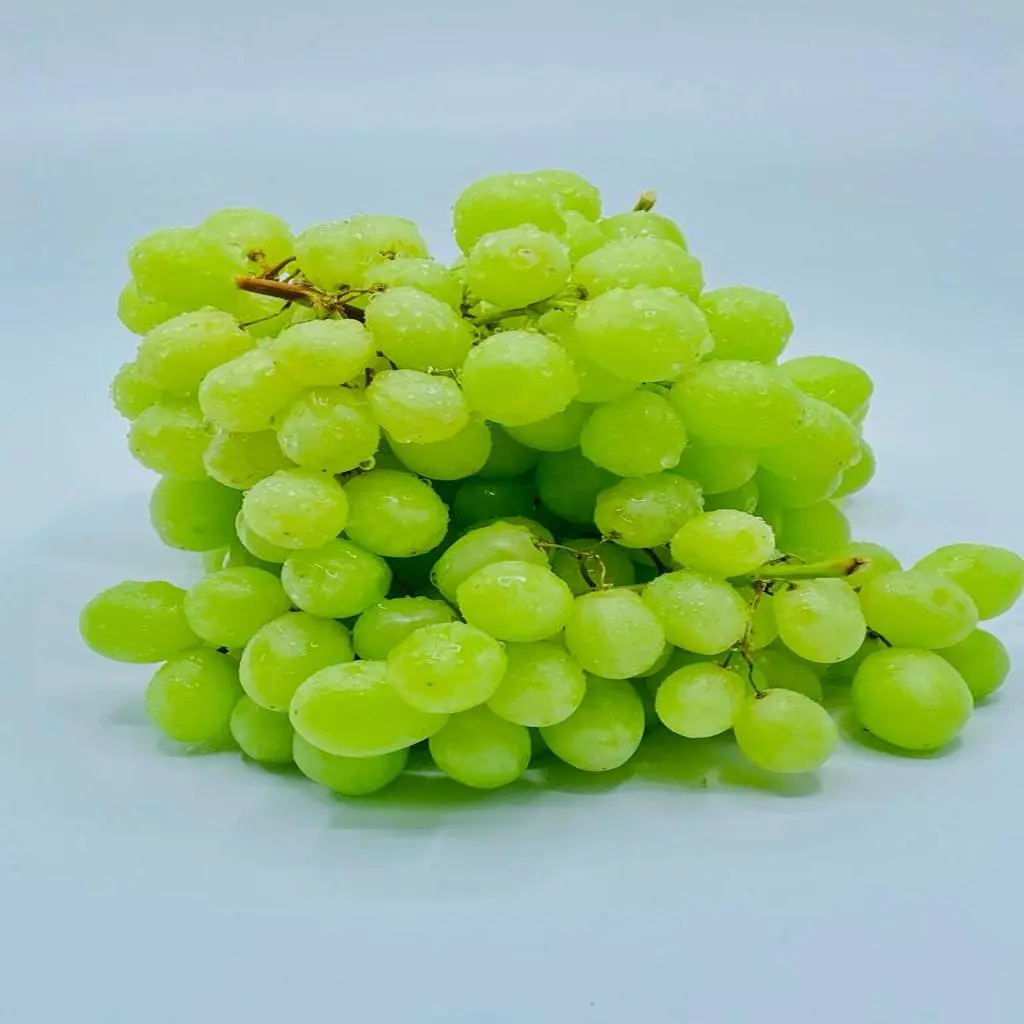 White Grape